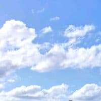 TikTok Account - baelily26