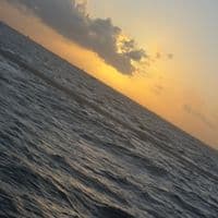 TikTok Account - sorner1996