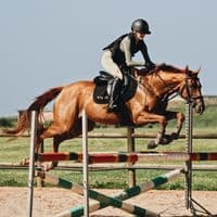 TikTok Account - mia._.equestrian223