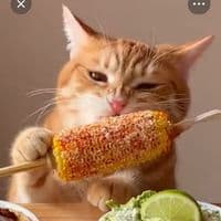 TikTok Account - irrealmx