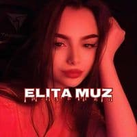 TikTok Account - elitamusickaz