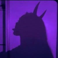 TikTok Account - jknah24