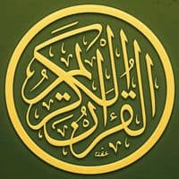TikTok Account - live_quran