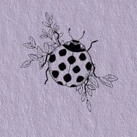 TikTok Account - geceyesitem