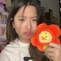 TikTok Account - whotsy