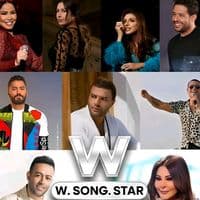 TikTok Account - w.song.star1