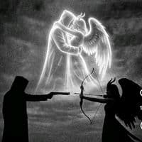 TikTok Account - butterflyyy_._