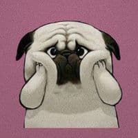 TikTok Account - beruangku8