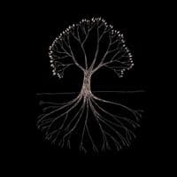 TikTok Account - mu2sic_world