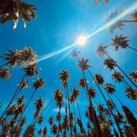 TikTok Account - jalikx_5473