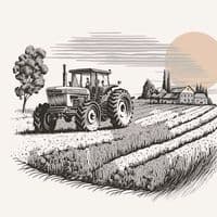 TikTok Account - rabahamazigh02