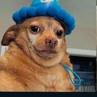 TikTok Account - _wale05