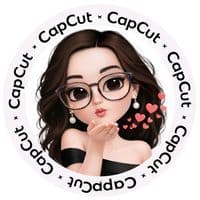 TikTok Account - dilzacavalcantidemelo