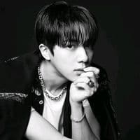 TikTok Account - seok_jin921204