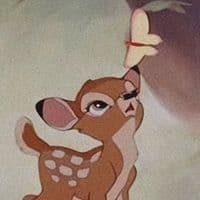 TikTok Account - fuurek_