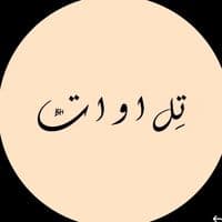 TikTok Account - telawatbh