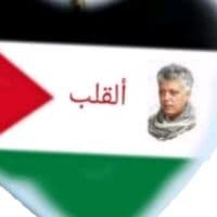 TikTok Account - ali.di03