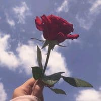 TikTok Account - sabarituindah072