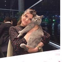 TikTok Account - sulekocas54