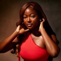 TikTok Account - theelizabethadewale