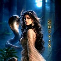 TikTok Account - shevan_fernando