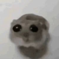 TikTok Account - user155322w