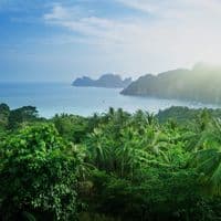 TikTok Account - viralpage391