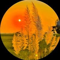 TikTok Account - shabanhaider1000