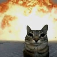 TikTok Account - __manujhnk