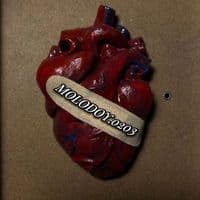 TikTok Account - molodoy.0203