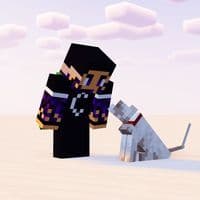 TikTok Account - mewnipixel