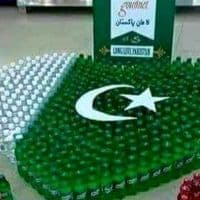 TikTok Account - kingmashwaniofficial