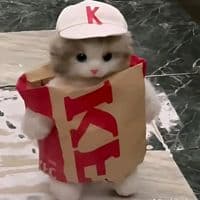 TikTok Account - aooni84