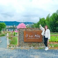TikTok Account - olaimay.dalat