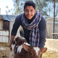 TikTok Account - mohamed.elsanhoty55