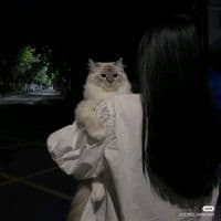 TikTok Account - nadieen35