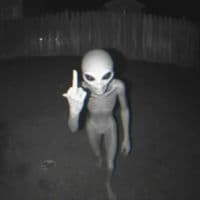 TikTok Account - _user.nordxiste_