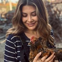 TikTok Account - canselglc