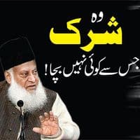 TikTok Account - saqib.raza049