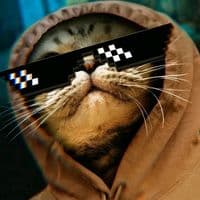 TikTok Account - nourmusic9