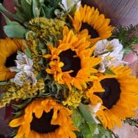 TikTok Account - mimi.hernandez788