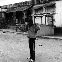 TikTok Account - la.vedette.mini1