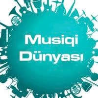 TikTok Account - statusvideolar_1