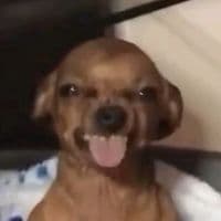 TikTok Account - mrcoz.idro