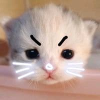 TikTok Account - kilxa_pxtxr