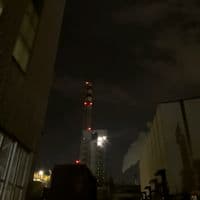 TikTok Account - kambusewaho26