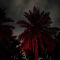 TikTok Account - o___8ll