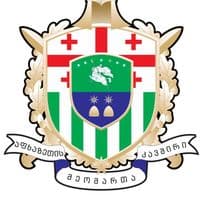 TikTok Account - amk.ge