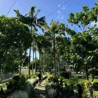 TikTok Account - call_me_fisahx