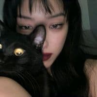 TikTok Account - noevuw